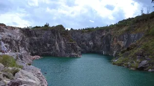 Nueva Carrara fue furor en 2021