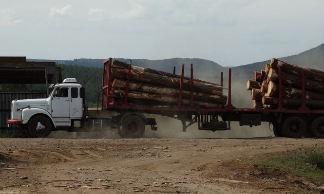 Transporte de madera para uso industrial, en Rivera.