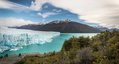 Calafate en la Patagonia argentina