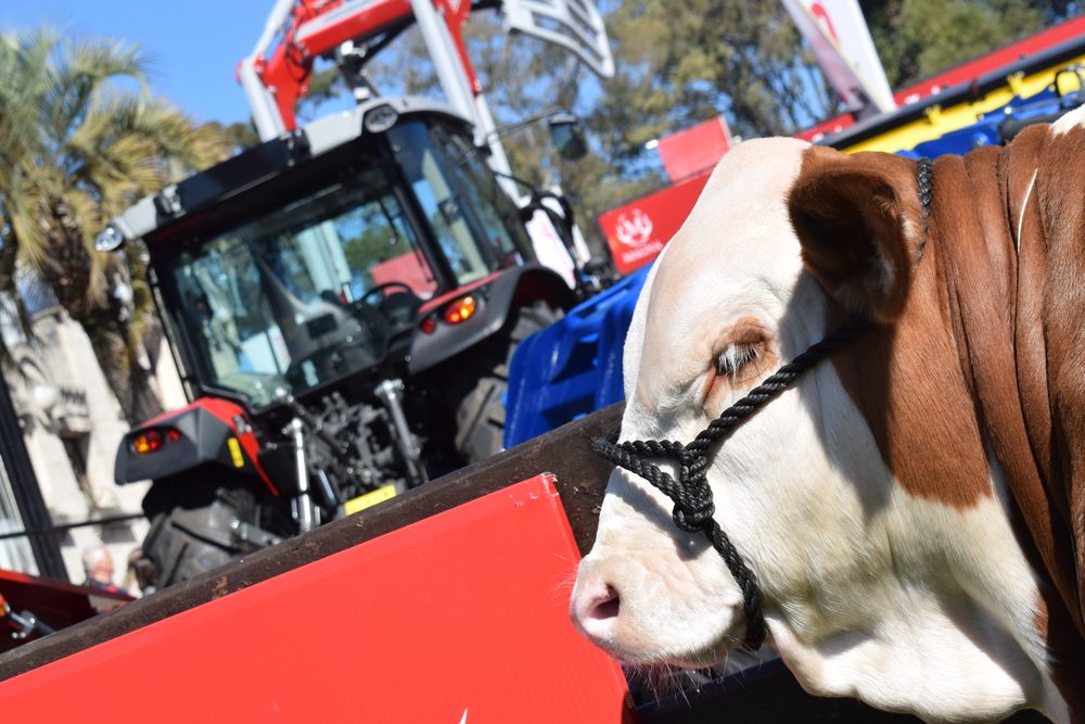 INAC generó una instancia, en la Rural del Prado, útil para poner en evidencia la relevancia que tiene la ganadería en Uruguay.
