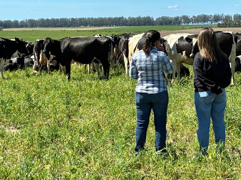 Inale e INIA lideran una gestión de alta relevancia para tambos en Uruguay.