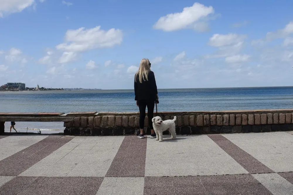 Rambla de Montevideo. Archivo