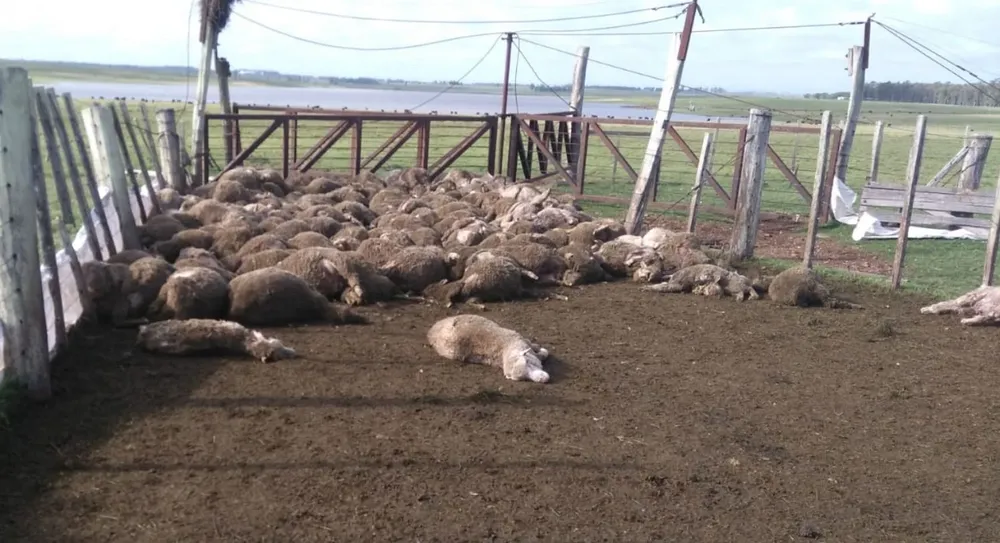 Este fue el panorama con el que se toparon los trabajadores rurales el viernes a las 7:45 de la mañana.