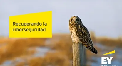 Recuperando la ciberseguridad