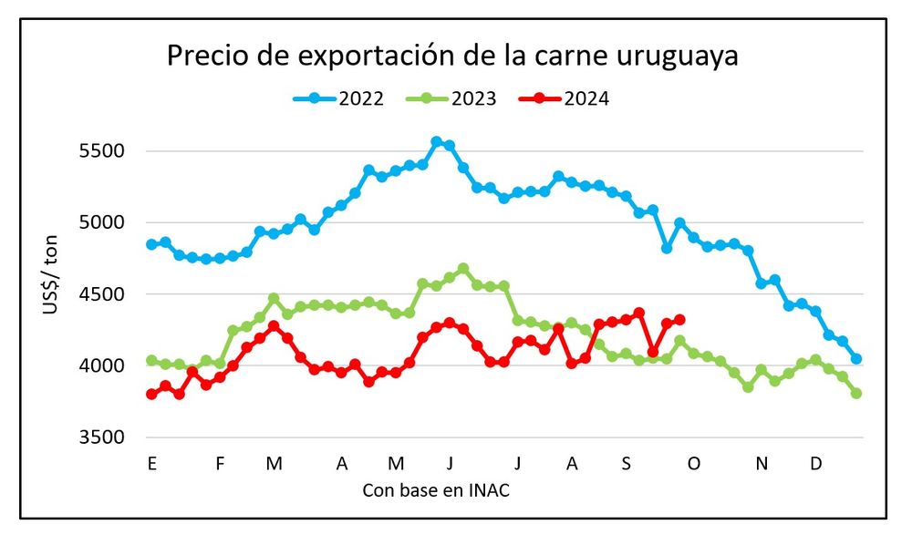 Exportaci&oacute;n de carne vacuna, Blasina y Asociados.