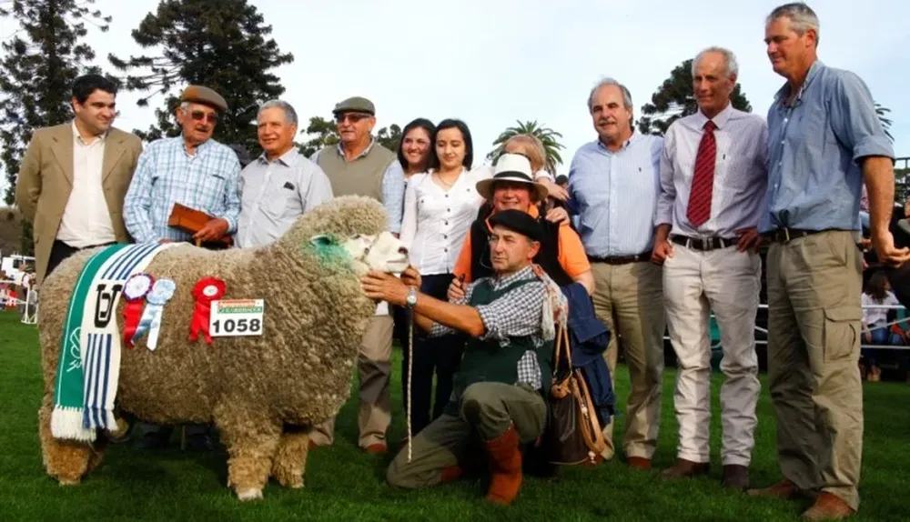 El Gran Campeón Corriedale PO salió de Doña Elisa SG