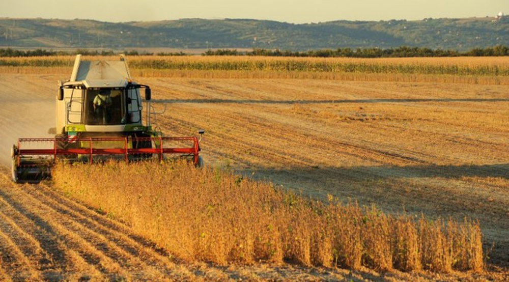 El agro, uno de los grandes ganadores del acuerdo Mercosur-UE.