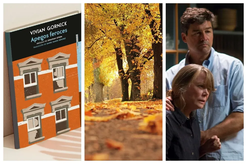 Libros, paseos y series, en el Picnic de hoy