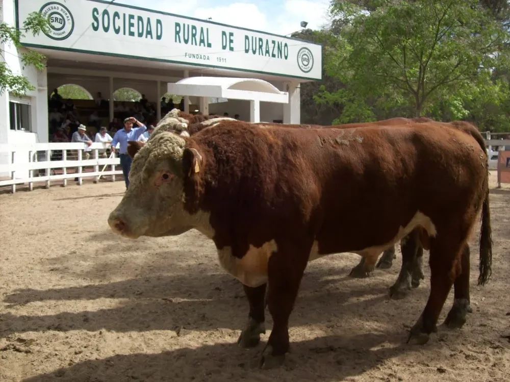 Una cabaña productora de genética muy eficiente