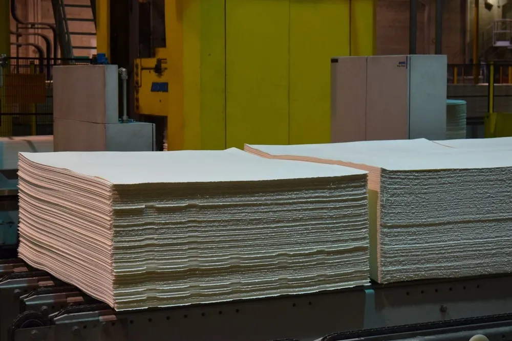 Cómo Elegir Papel de Acuarela Correctamente: Guía Completa para Principiantes y Expertos 2025 8 1594333975531webp