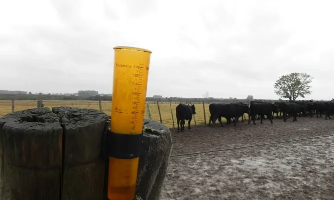 Las precipitaciones mostraron un comportamiento bastante dispar en 2021.
