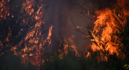 Varios incendios se han desatado en distintos puntos del país.
