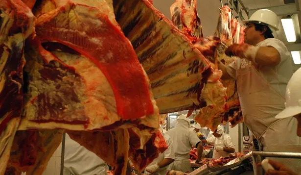 En lo que va del año se faenaron 571.855 bovinos, 6% menos que en igual período de 2011
