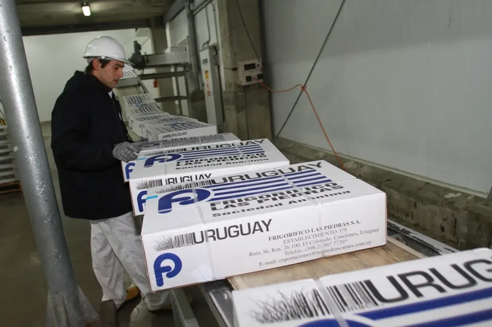 Las compras de China casi se duplicaron en 2012