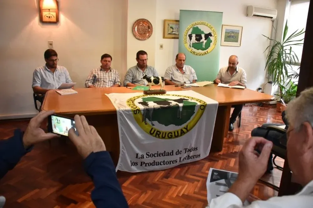 Los animales serán calificados el sábado 12 de mayo hasta definirse la Gan Campeona Holando.