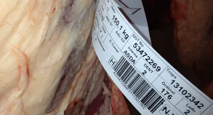 El Observador | La inversión la realizó el Consorcio Internacional Agroalimentario