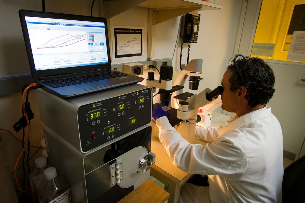 El salario de este empleo ofrecido por un laboratorio de renombre en España oscila entre 19.000 y 22.000 euros brutos anuales