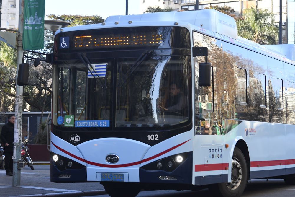 Omnibuses eléctricos, transporte público, IMM, cutcsa.