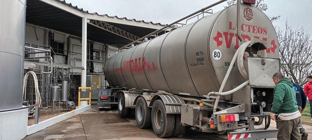 lacteos-vidal-Elida-Thiery-Bichos-de-Campo