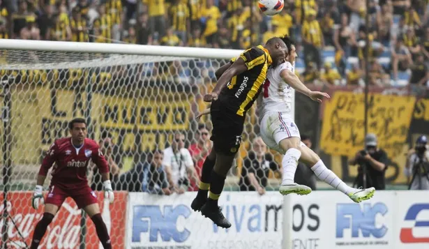 La amiga pelota quieta