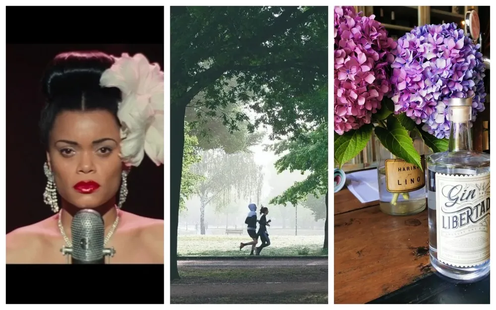 Danza, cine, música, libros y salud, en el picnic de esta semana