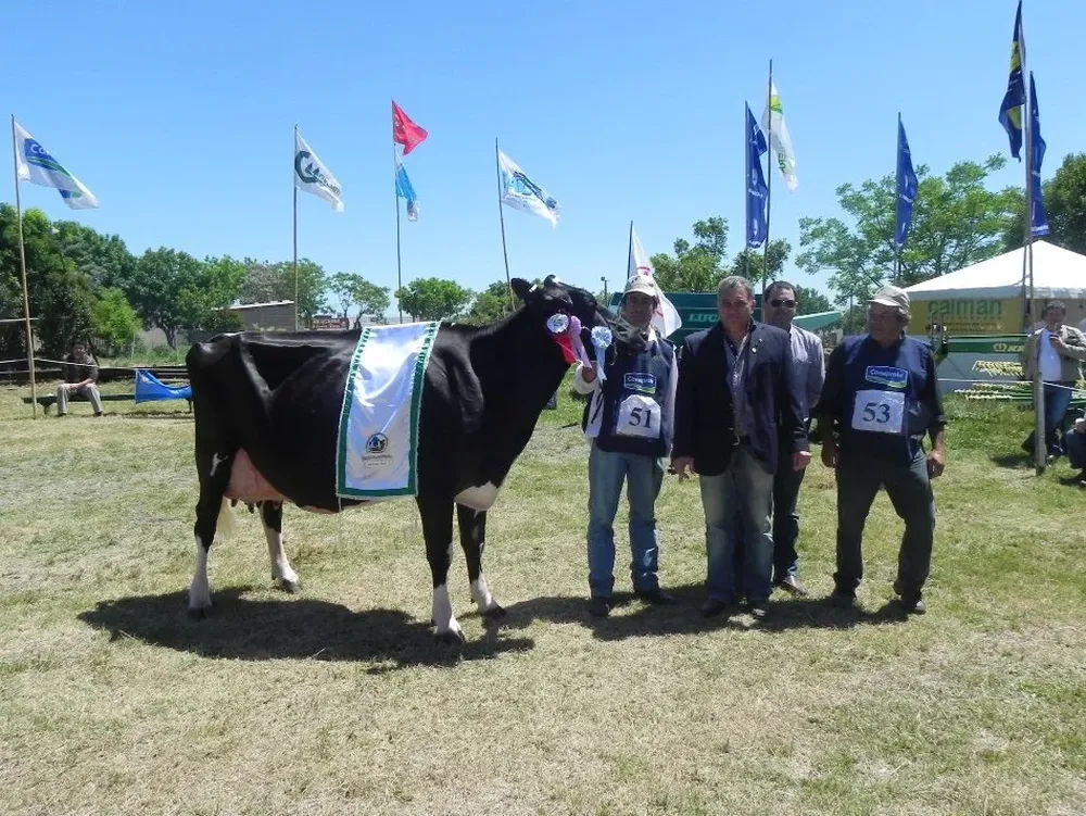 La Campeona Suprema y Gran Campeona SH de Gerardo Raggio e Hijos