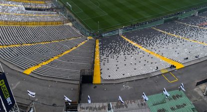 Monumental David Arellano