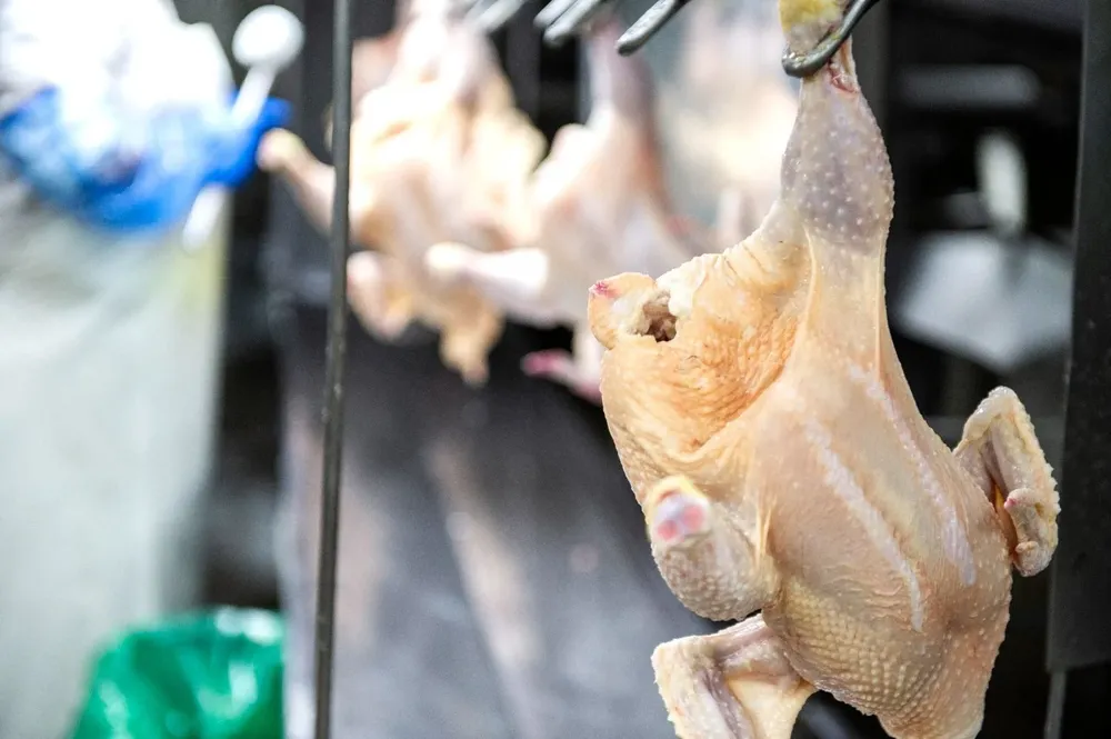 Mattos invitó al embajador chino Wang Gang a recorrer plantas de producción avícola