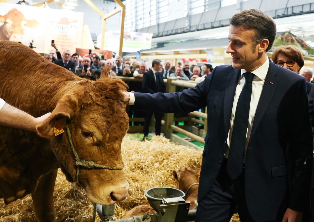 Emmanuel Macron, presidente de Francia, acaricia la raza de vaca Limousin Oupette, la musa de la feria agrícola de 2025 junto al agricultor francés Alexandre Humeau, durante el día de inauguración por parte del presidente de Francia de la 61ª Feria Agrícola Internacional (Salon de lAgriculture) en el centro de exposiciones Porte de Versailles en París, el 22 de febrero de 2025.