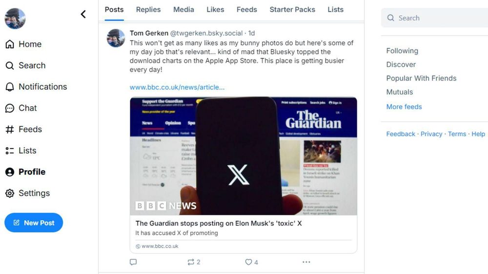 El aspecto de Bluesky es muy parecido al de otras redes sociales.
