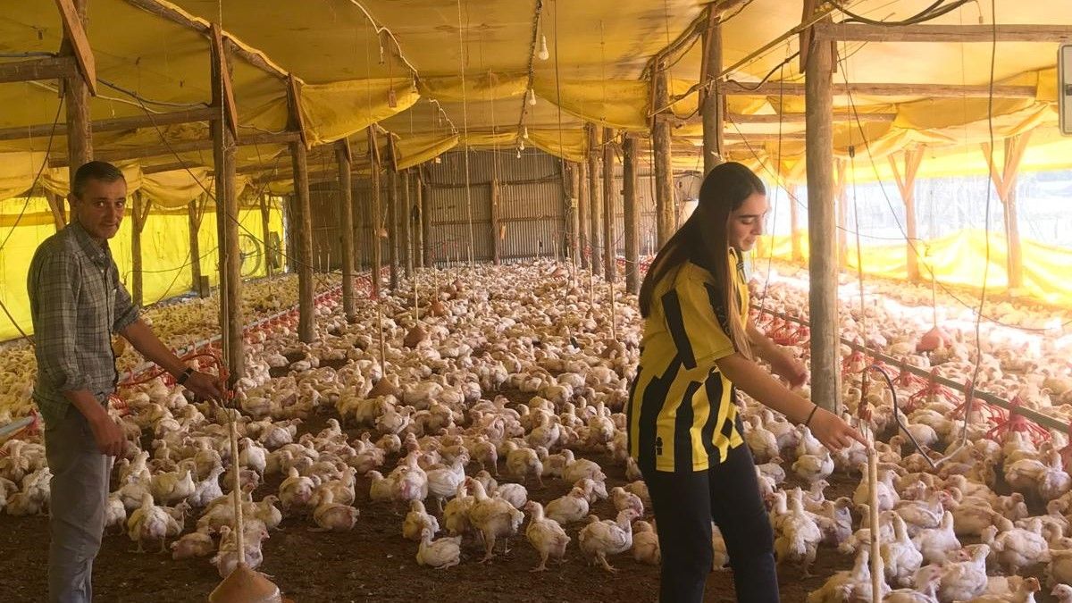 Adriana, la productora de Tala que busca cómo seguir tras el temporal que le destrozó galpones y mató pollos