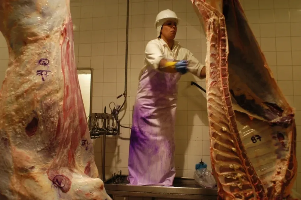 Trabajadores quieren que se cuotifique la exportación en pie