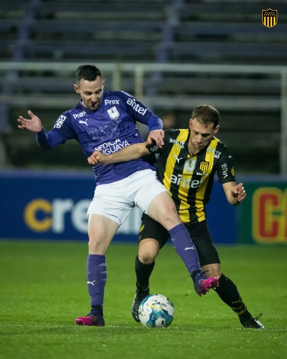 Elizari y Cristóforo