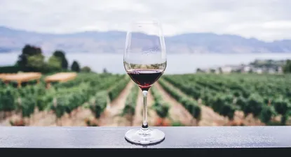 Los vinos uruguayos fueron uno de los productos destacados por los importadores.