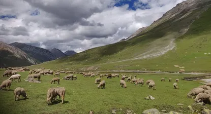 El Observador | 1666895563265.webp