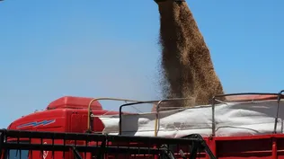 Los precios de los granos han mostrado fuertes aumentos.