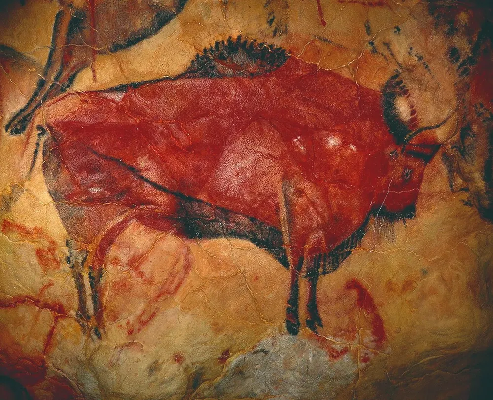 Detalle de las pinturas rupestres de Chauvet