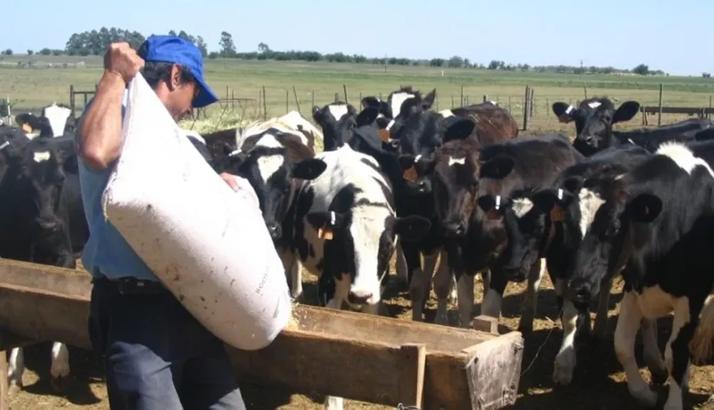 El sector de la lechería necesita también soluciones adecuadas de viviendas