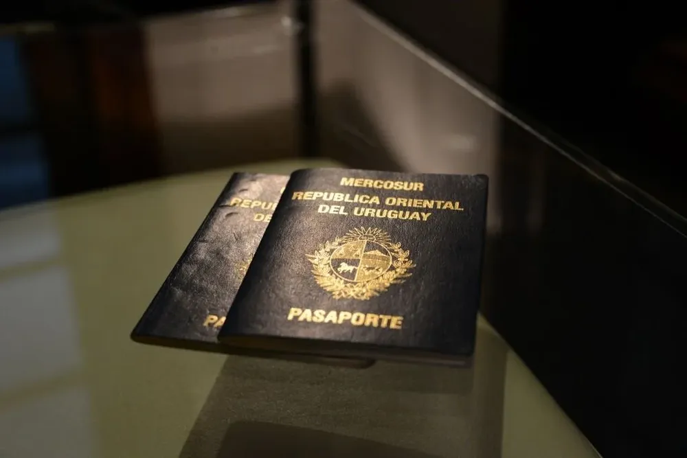 Los países americanos suelen usar pasaportes azules, con la excepción de los miembros de la Comunidad Andina