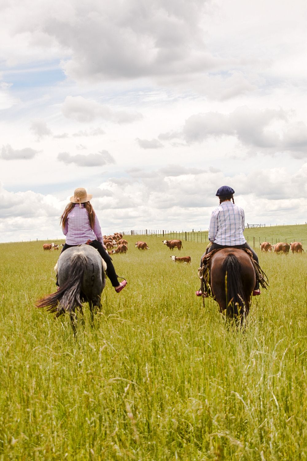 Agro: el Plan Agropecuaria promovió la capacitación de 2.000 mujeres del medio rural.