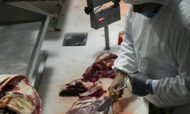Paraguay se afirma como sexto exportador mundial de carne bovina