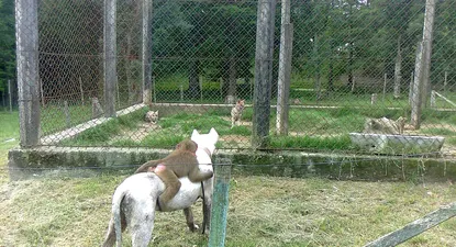 El Observador | 0000348011.webp