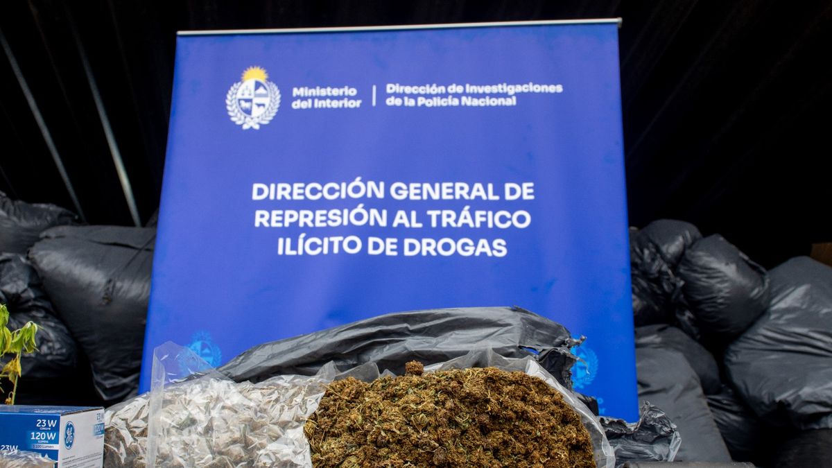 Imagen noticia completa