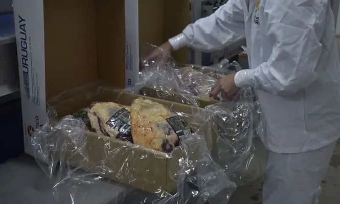 INAC convoca a profesionales interesados en ser parte del Registro de Profesionales Independientes.