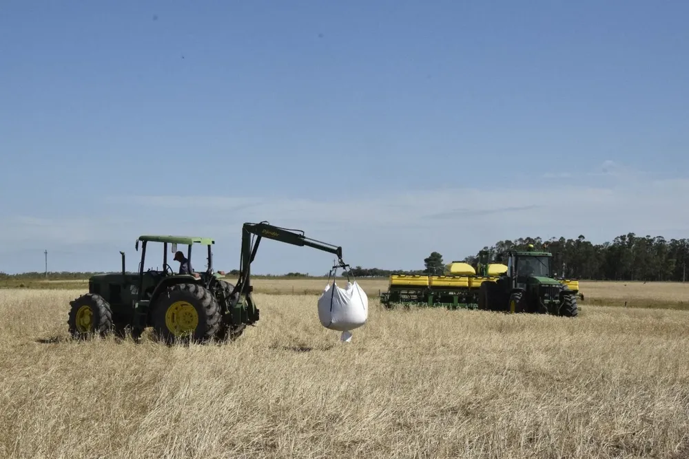 Rusia es un proveedor relevante de fertilizantes para la agricultura uruguaya.