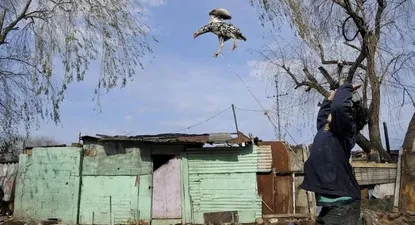 El Observador | 0003935038.webp