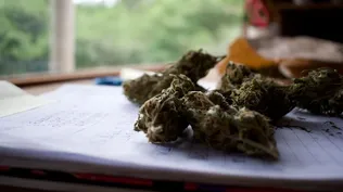 Nueva Jersey votó a favor de legalizar la marihuana, según la NBC