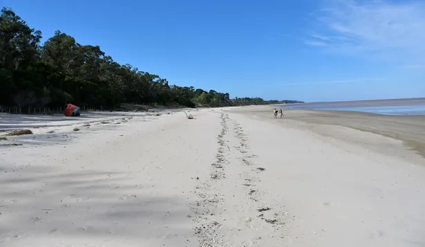 El Proyecto Neptuno, que propone la construcción una nueva planta potabilizadora de agua, una estación de bombeo y una tubería aductora de 80 kilómetros