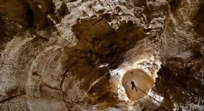 El Observador | 1709574893373.webp