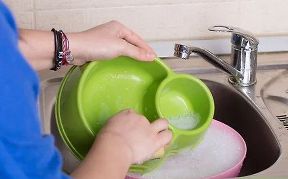 El error que cometen dueños de mascotas con el plato de comida: ¿Cada cuánto se debe lavar según los expertos?